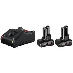 Kit 2 batteria Bosh GBA 12V 6.0Ah + GAL 12V-40