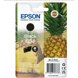 CARTUCCE INK ANANAS BLACK 604