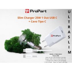 Slim Carica Batterie + Cavo Tipo C 25W 1 Out USB C
