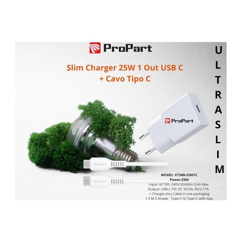 Slim Carica Batterie + Cavo Tipo C 25W 1 Out USB C