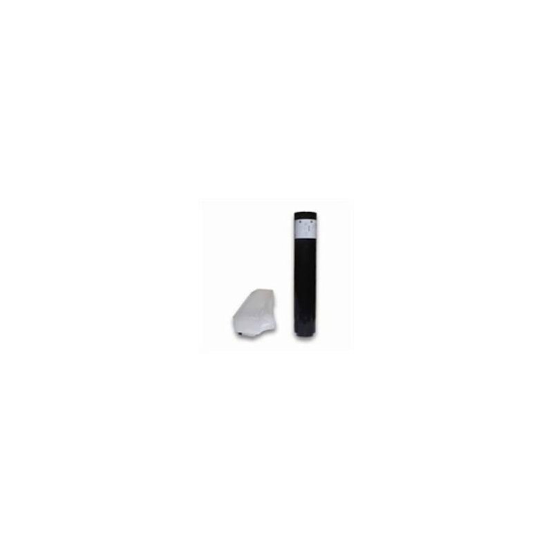 Toner Compatibile Panasonic Workio DP2310,2330,3010,3030,8025,8032 +Vaschetta